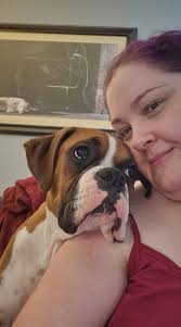 Tell me you have boxer without telling me you have boxer !!