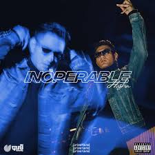 نتیجه جستجوی لغت [inoperable] در گوگل