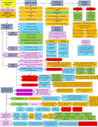 Securities Regulation Flowchart Flowchart In Word