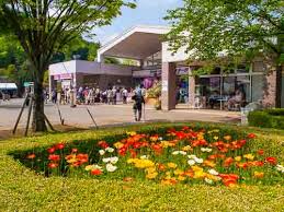 Image result for Park with Flowers  pictures