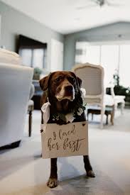 35 Grossartige Ideen Fur Hochzeitsschilder Und Beschriftungen Hochzeitsschilder Hundehochzeit Kinder Auf Der Hochzeit