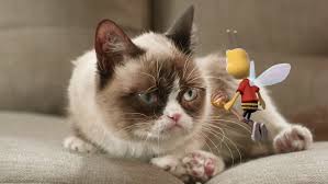 Although a bee sting is far more likely to occur if your cat goes outside, it's not uncommon for a winged insect to make its way indoors during the warmer months of the year. Ad Of The Day Grumpy Cat Gets Stung By The Honey Nut Cheerios Mascot