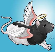 Rat Angel Colored By Https Treekami Deviantart Com On Deviantart Rats Angel Color