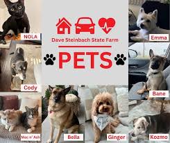 Profile for Dave Steinbach State Farm Agency