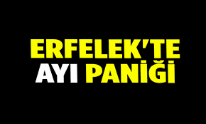 Erfelek Te Ayi Panigi Yazarlar Biyografi Bilgi