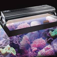 Best Lighting For Coral Reef Aquariums The Pet Supply Guy