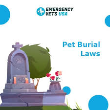 So a small animal such as a fish or small cat would not have to be as deep as a large dog. Pet Burial Laws Is It Legal To Bury Your Dog In Your Backyard