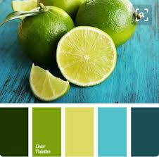 Exotic fruit color is a palette in monochrome category and belongs to basic sub category. So Clean And Fresh Green Colour Palette Color Palette Color Schemes Colour Palettes