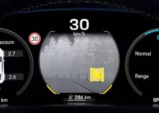 Night Vision Assist Saved Me Last Night | TaycanForum -- Porsche Taycan Owners, News, Discussions, Forums