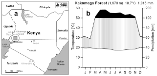 Image result for Landolphia eminiana