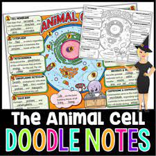 Check spelling or type a new query. Animal Cells And Organelles Doodle Notes Science Doodle Notes Tpt