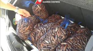 Utilizzandone 80gr, al posto di 100(gr) di zucchero, si può attribuire la giusta dose di dolcezza al composto. I Datteri D Oro Della Camorra Spaccio Nei Calzaturifici Dei Clan Il Mattino It