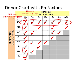Blood donation chart with rh factor. Blood Types Transfusions Blood Transfusion The Process Of Transferring Blood From One Body To Another For 300 Years Doctors Had Tried This And More Ppt Download