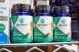 If you need help deciding where to stay, play, or eat with fido, you've come to the right place. Las Vegas Pet Parents Warming To Idea Of Cbd Products Las Vegas Sun Newspaper