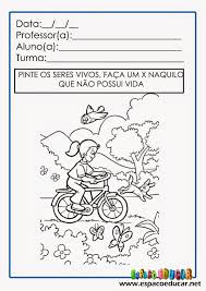 Plano de aula e Atividades sobre seres vivos e não vivos para imprimir e  trabalhar com a Educação Infantil e Alfabetização-ESPAÇO PEDAGÓGICO