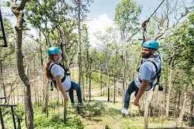 Maybe you would like to learn more about one of these? 7 Reasons To Visit Anakeesta In Gatlinburg Smoky Mountain Travel Guide