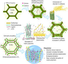 Besides flagella, pili and fimbriae are also surface structures of the bacteria but do not play a role in motility. Understanding The In Situ State Of Lignocellulosic Biomass During Ionic Liquids Based Engineering Of Renewable Materials And Chemicals Green Chemistry Rsc Publishing Doi 10 1039 D0gc02582h