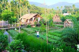 ค ดมาให ด 100 ไอเด ยแปลงปล กผ กสวนคร ว สวยๆ แบบประหย ดพ นท แบบเกษตรพอเพ ยง สวนชนบท ปล กผ กหล งบ าน การออกแบบสวนผ ก