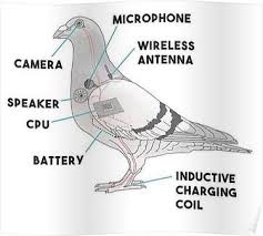 Birds Aren T Real Hoodie Birds Aren T Real Poster By Resistmedia In 2020