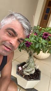 A multi do meu sogro