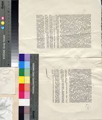 Image result for Dignathia