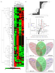 cancers free full text targeting of cd133 cancer stem