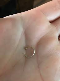How to put in a corkscrew nose ring. How I Can Find The Inside Hole Of My New Nose Piercing I Just Have A Nose Piercing From 2 Days And I Can T Put The Ring On It It Gets In