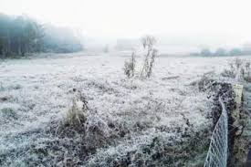 Há o risco até de geado, no interior da região. Rs Amanhece Com Temperatura Negativa Em Diversas Regioes Gzh
