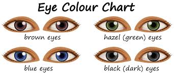 Eye Color Free Vector Art 1 223 Free Downloads