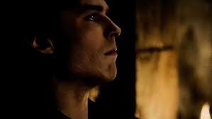 Damon & Alaric ♡ Best friends