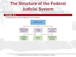 The Federal Courts Chapter 16 Edwards Wattenberg And