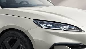 Trend Google: byd