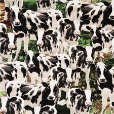 Black and white cow pictures. Black White Cow Calf Timeless Treasures Farm Life Fabric Usa Modes4u