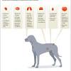 However, as the cancer grows larger, people may notice one or more of these common symptoms. 1