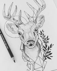 Pin By Virgil Lozupone On Art Deer Drawing Animal Drawings Deer Tattoo