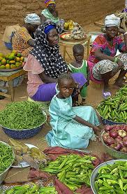 Bf15 31 Afrique De L Ouest Village Africain Pays Afrique