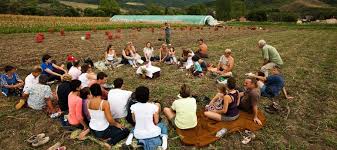 Urban News from Hungary: Okotarsulas, a Community Supported ...
