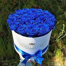 Maybe you would like to learn more about one of these? Real Long Lasting Roses Round Box Lifetime Is Over 1 Year Rose Luxury Flowers Blue Roses