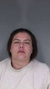 Southern Humboldt woman arrested for vandalizing a Shelter Cove business  and home