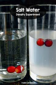 float? salt water density experiment