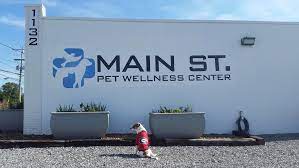 You are always accommodating of my schedule. Main St Pet Wellness