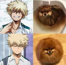 Boku No Hero Academy Doujinshis Und Bilder Meme Wattpad Academy Bilder Boku Doujinshis Hero Meme Und Wattpad My Hero Anime Hero