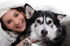 This article is purely informative. Canine Lymphoma Life Expectancy Caninelymphoma Com