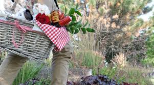 Need flowers delivered in grand junction. Grand Junction Gift Baskets Gourmet Fruit Baby Wine Champagne Beer Liquor Gift Baskets