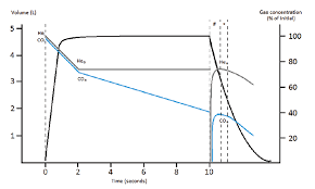 Image result for Diffusing Capacity