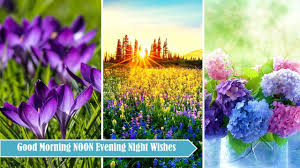 Shacharit or shaharit (שַחֲרִית ‎, of the dawn) afternoon prayer: Good Morning Afternoon Evening Night In English Fur Android Apk Herunterladen