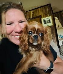 Cavalier King Charles puppies. Baby boys. 😀💙