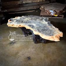 Our live edge burl coffee tables make every living room an art gallery. Burl Wood Coffee Table Live Edge Table Littlebranch Farm