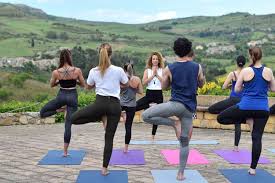 Discover the benefits of a regular yoga practice with the help of our yoga shows. Yoflaminga Why You Should Go On A Yoga Retreat How To Choos