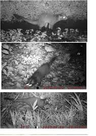 林野庁 - 農林水産省